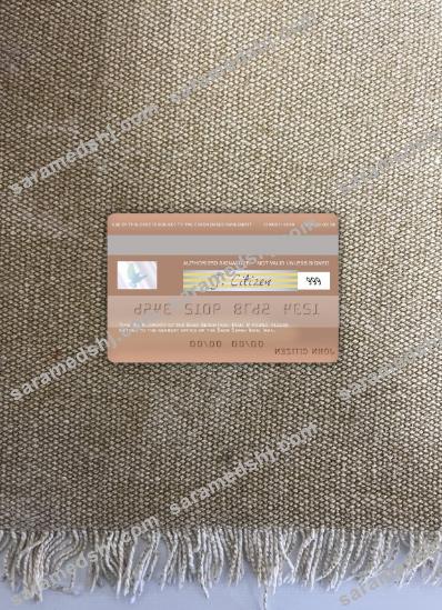 Iran Sepah Bank visa debit card photolook back